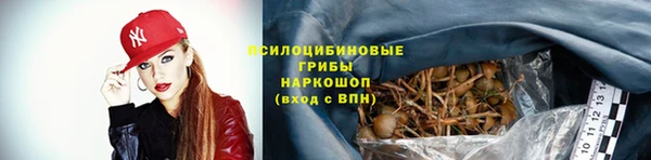 прущая мука Володарск